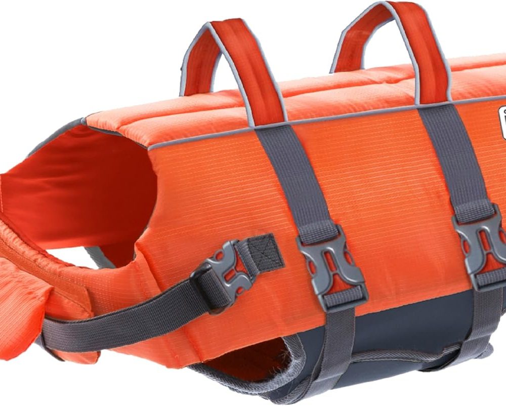Outward Hound Granby Splash Orange Dog Life Jacket, Large